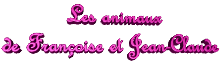 Les animaux de Françoise et Jean-Claude