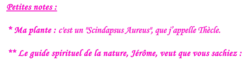 Petites notes :  * Ma plante : c'est un "Scindapsus Aureus", que j’appelle Thècle.  ** Le guide spirituel de la nature, Jérôme, veut que vous sachiez :